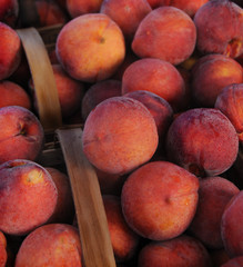 Peaches in Baskets