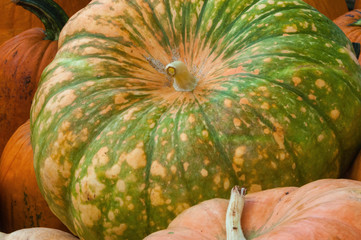 Pumpkins
