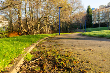 Pathways in the park to exercise and relax