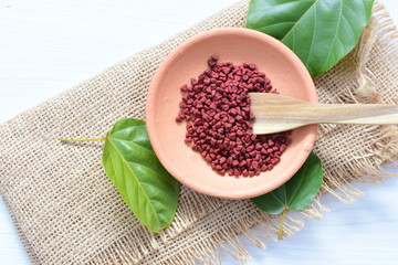 Achiote seed called Bixa orellana of America, used to flavor food