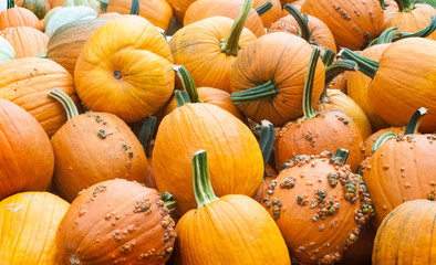 Pumpkins
