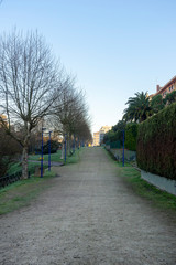 Pathways in the park to exercise, walking and relax
