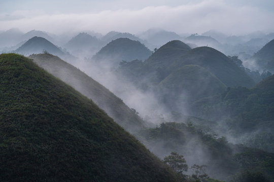 Panorama view of chocolate hills in Bohol, philippines at sunrise, mist fog, carmen, Asia