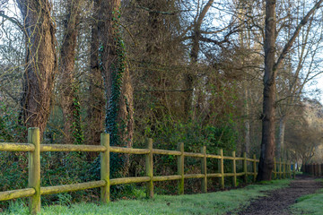 Fototapeta na wymiar Wooden railing beside a path in the park
