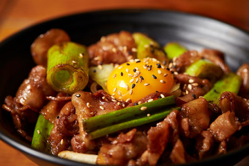 Grilled pork with scallion and egg rice bowl 