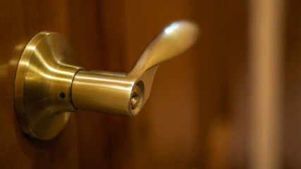 bronze door handles on a brown wooden door