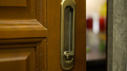 bronze door handles on a brown wooden door