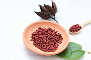 Obraz na płótnie Canvas Achiote seed called Bixa orellana of America, used to flavor food