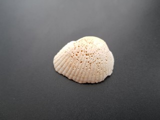 heart shaped cookies