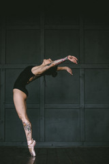 Ballerina, ballet, tattoo, body, Pointe shoes, photo Studio,tutu Bolshoi theater, grace, Swan,...