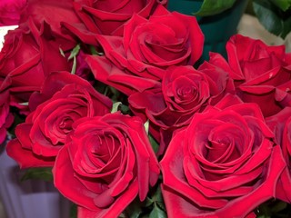 Red roses close-up in a bouquet for the holiday.
