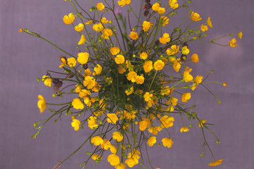 close up of yellow flowers on linen purple  background