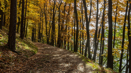 Obraz premium Herbst