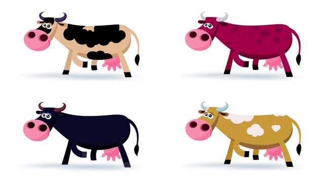 Four colour cartoon cows characters moves with mask – walking, eating, standing, walking one step. Loop. Seamless transitions with outline and alpha channel. Funny isolated useful animal animations.