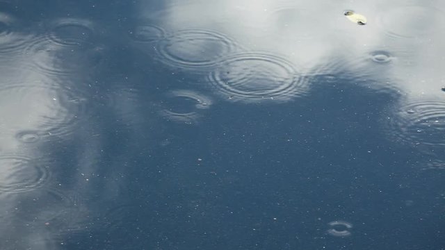 Rain intensifies on a puddle of water with reflections