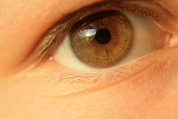 Eye with Window Reflection