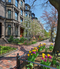 Obraz premium Back Bay Boston in the Spring