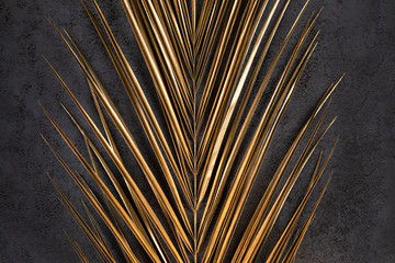 Closeup of golden palm leaf on abstract dark grey textured background. Tropical conceptual luxury elegant trendy art deco summer background. Flat lay. Symmetric composition