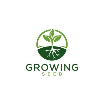 Growing Seed logo design vector , leaf , water and root simple concept with circle style inspiration download