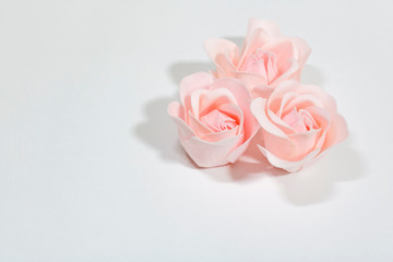 Three pink roses on a white background. Wedding.Background