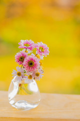 ガラスの花瓶の菊とクジャクソウの花