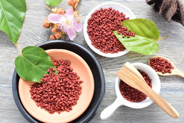 Achiote seed called Bixa orellana of America, used to flavor food