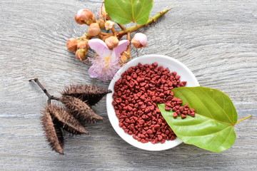 Achiote seed called Bixa orellana of America, used to flavor food