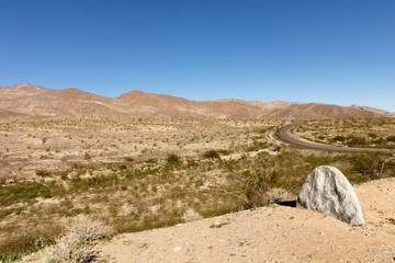 landscape in desert