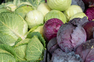 Stashed black and green cabages at local market