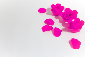 Purple roses on a white Vonn. Holidays.