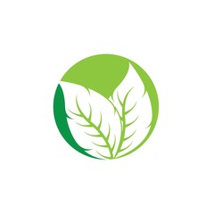 Eco icon green leaf vector illustration