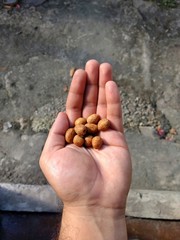 Hand holding a handful of Japanese peanuts. healthy food concept