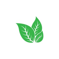 Eco icon green leaf vector illustration