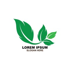 Eco icon green leaf vector illustration