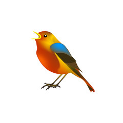 Cute cartoon multi-colored bird on a white background. Isolated.Vector illustration.