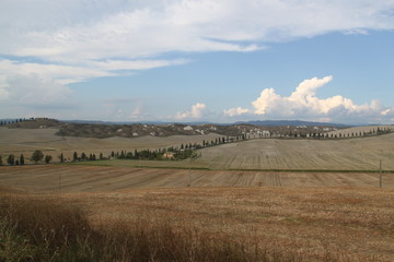 Asciano, Siena