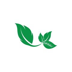 Eco icon green leaf vector illustration