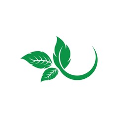 Eco icon green leaf vector illustration