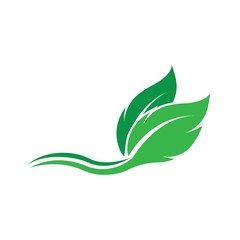 Eco icon green leaf vector illustration