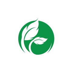 Eco icon green leaf vector illustration