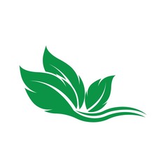 Eco icon green leaf vector illustration