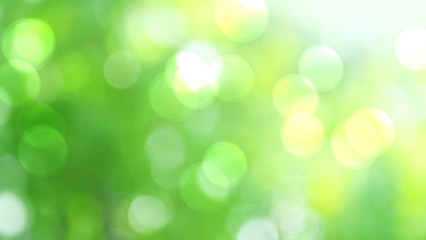 Obraz premium Green abstract background blur,holiday wallpaper