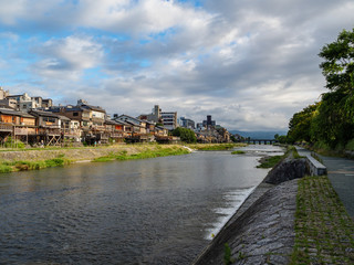 Fototapeta premium 早朝の鴨川河川敷