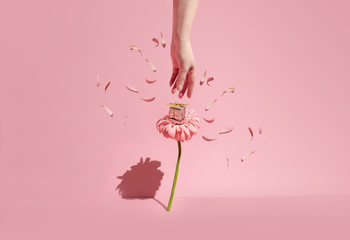 A small gift box in a flower. Minimal creative concept of gifts on a pastel background.