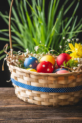 Festive Easter basket with colorful bright eggs and green grass on a wooden table. Traditional spring holiday