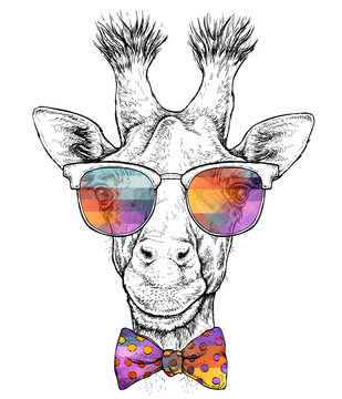 Hand drawn portrait of cute Jiraffe in glasses with bow tie. Vector illustration isolated on white