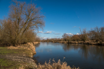 Pilica river at sunny day and blue sky near Mniszew, Poland