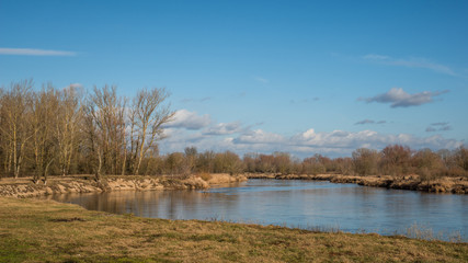 Pilica river at sunny day and blue sky near Mniszew, Poland