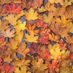 Background, texture
