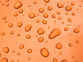 Drops of water on a color background. Orange. Shallow depth of field.